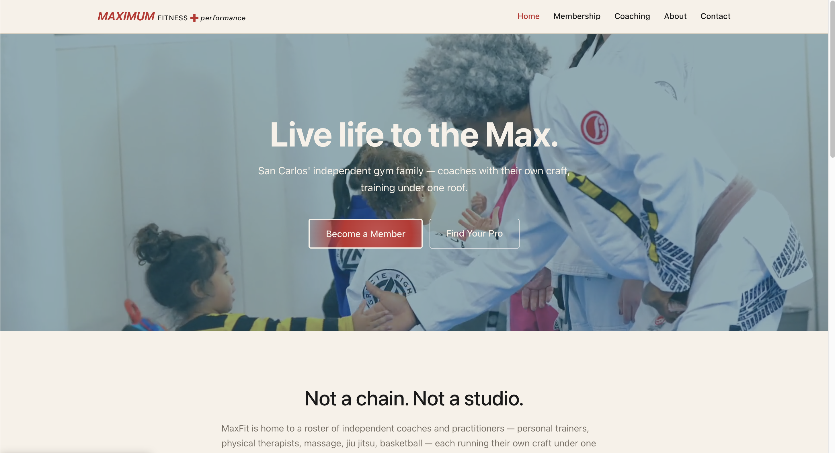 Sample home page of a built site